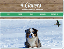 Tablet Screenshot of 4cloversaussies.com